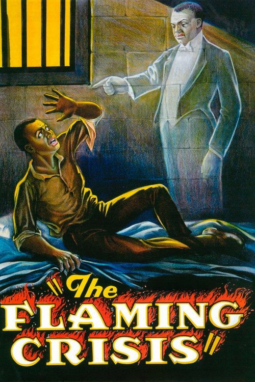 The Flaming Crisis afişi