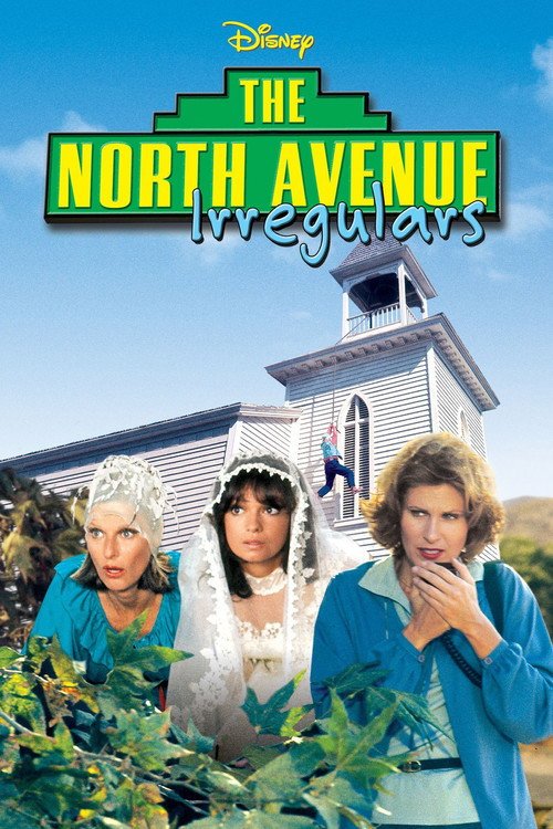 The North Avenue Irregulars afişi