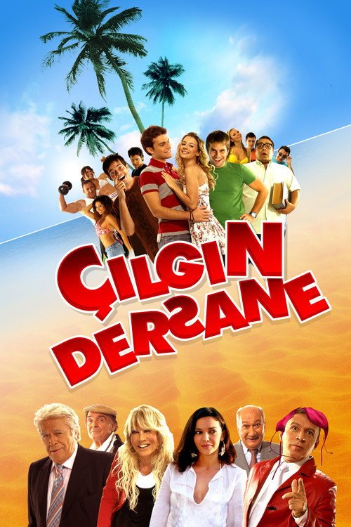 Çılgın Dersane afişi