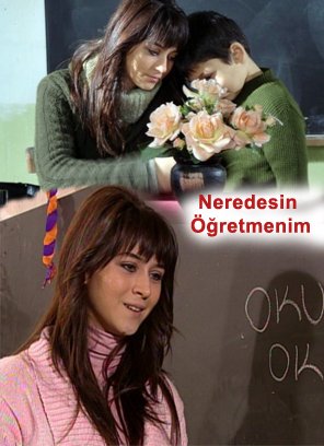 Neredesin Öğretmenim afişi
