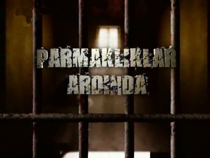 Parmaklıklar Ardında 1. Sezon afişi
