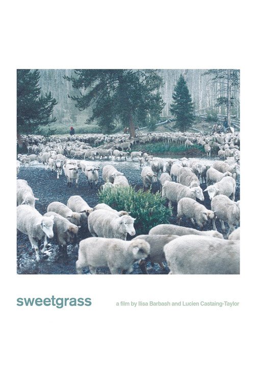 Sweetgrass afişi
