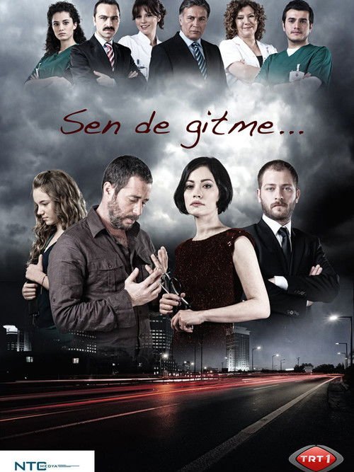 Sen De Gitme afişi