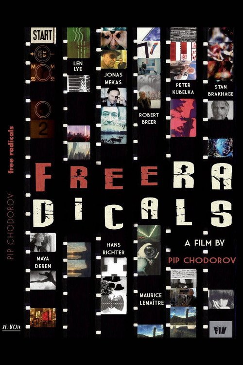 Bir Deneysel Sinema Tarihi afişi
