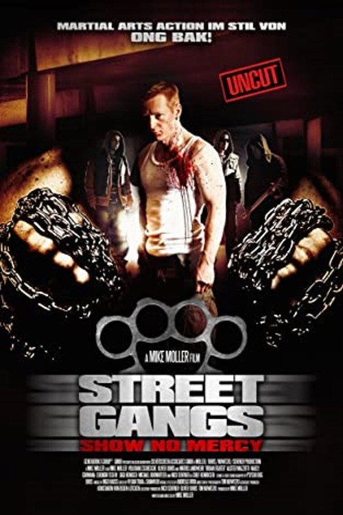 Arena of the Street Fighter afişi