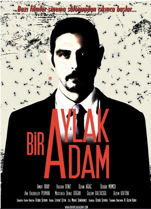 Bir Aylak Adam afişi