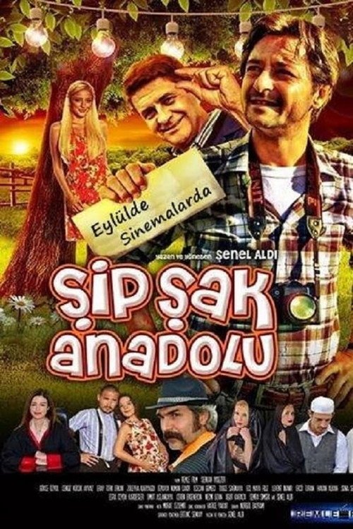 Şipşak Anadolu afişi
