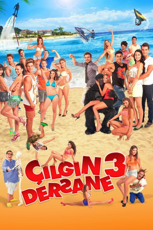 Çılgın Dersane 3 afişi