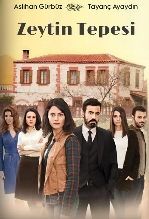 Zeytin Tepesi afişi