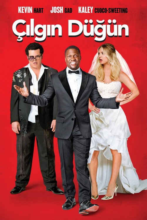 The Wedding Ringer afişi