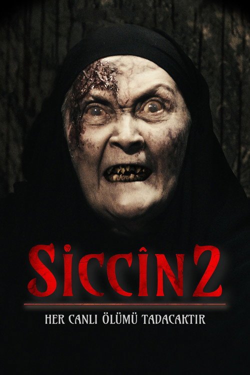 Siccin 2 afişi