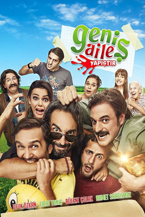 Geniş Aile Yapıştır afişi