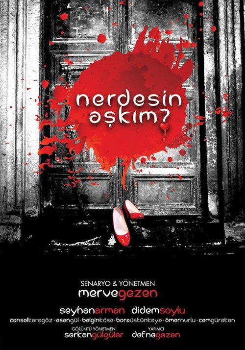 Nerdesin Aşkım afişi