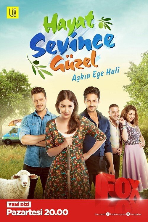 Hayat Sevince Güzel afişi