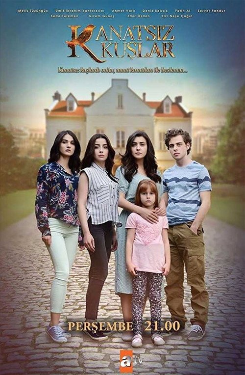 Kanatsız Kuşlar afişi