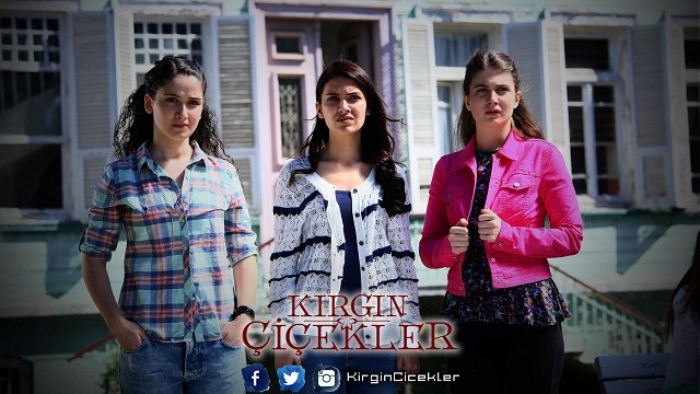 Kırgın Çiçekler 3. Sezon afişi