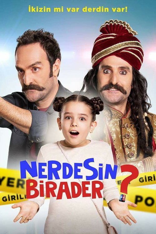 Nerdesin Birader? afişi