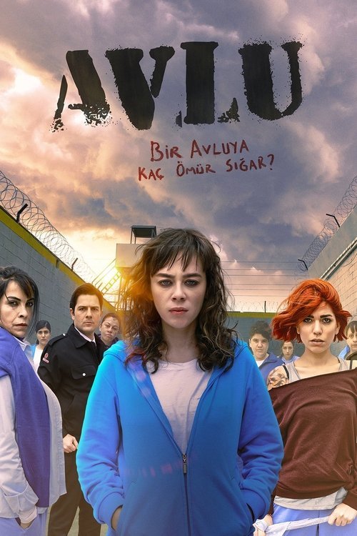Avlu afişi