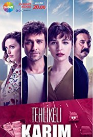 Tehlikeli Karım afişi