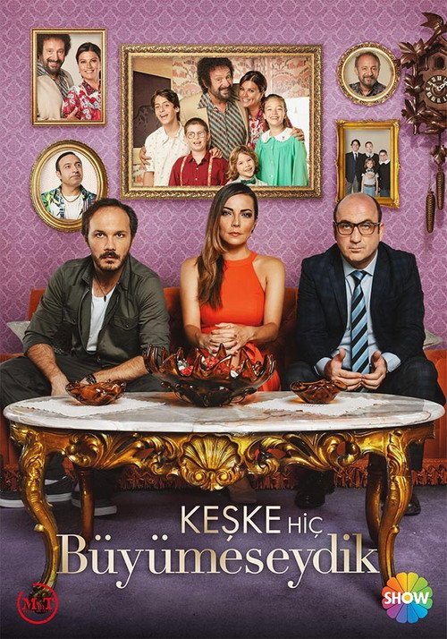 Keşke Hiç Büyümeseydik afişi