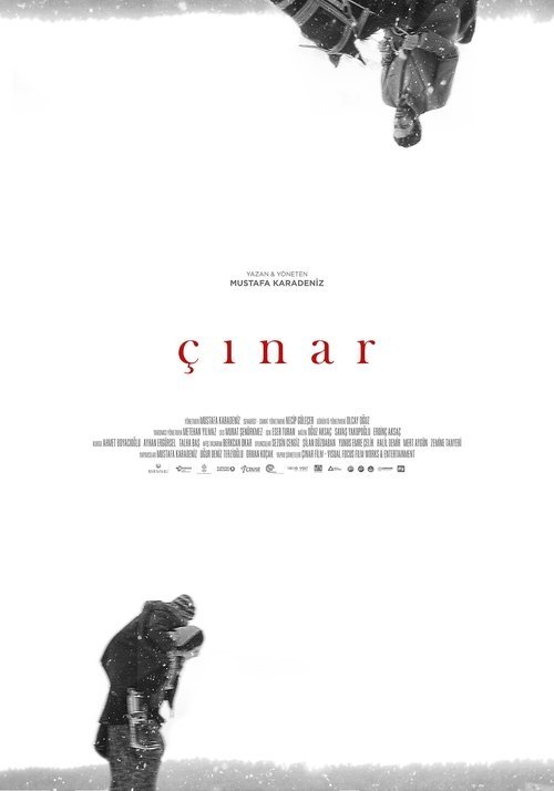 Çınar afişi