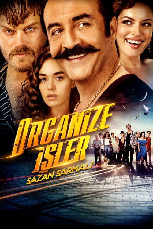 Organize İşler 2: Sazan Sarmalı afişi
