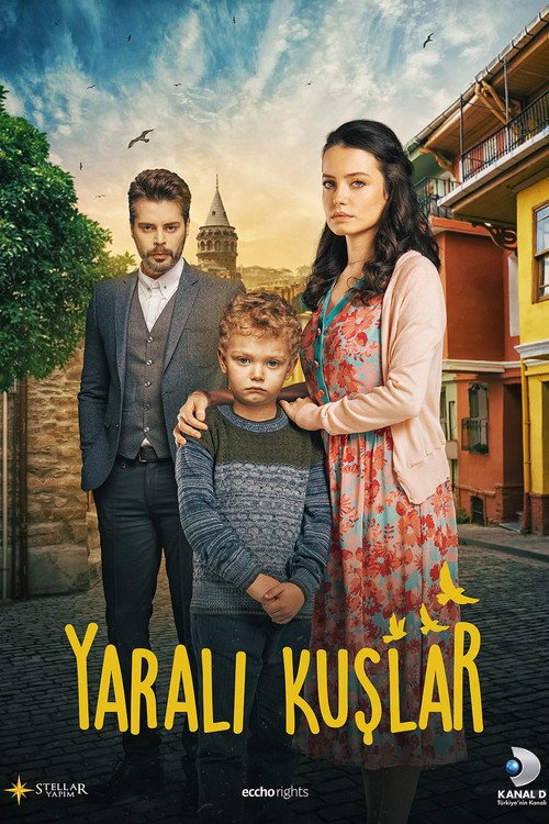 Yaralı Kuşlar afişi