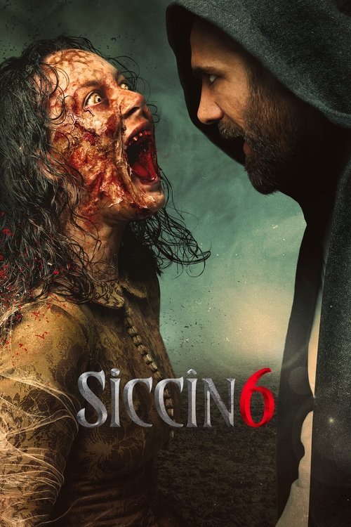 Siccin 6 afişi