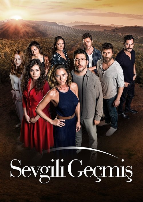 Sevgili Geçmiş afişi