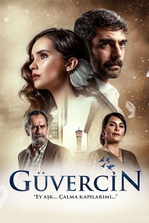 Güvercin afişi
