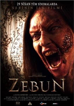 Zebun afişi