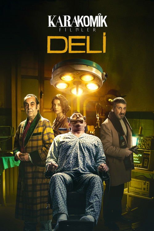 Karakomik Filmler 2: Deli afişi