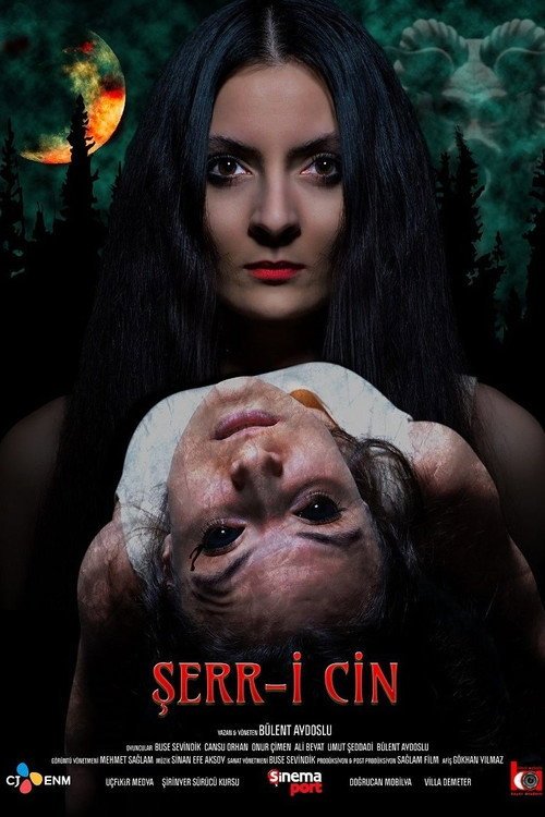 Şerr-i Cin afişi