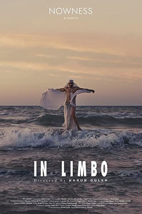 In Limbo afişi