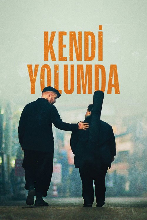 Kendi Yolumda afişi