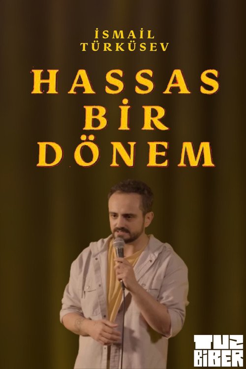 Hassas Bir Dönem - İsmail Türküsev afişi