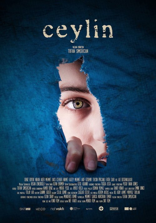 Ceylin afişi