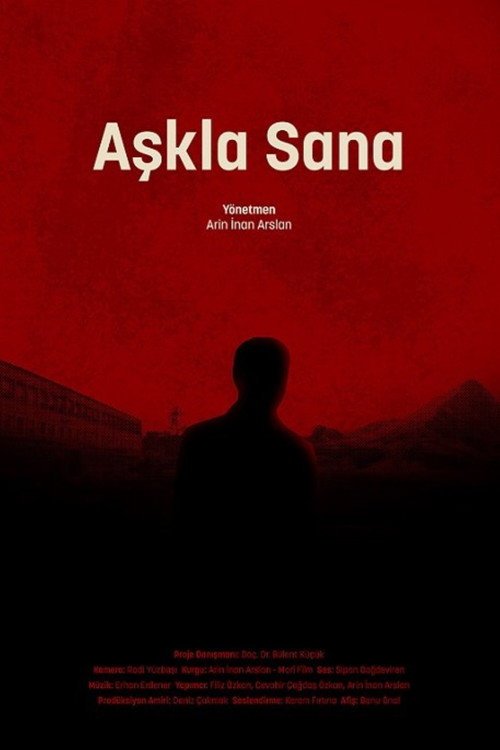 Aşkla Sana afişi