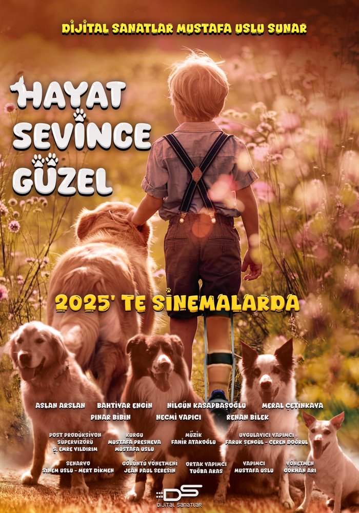 Hayat Sevince Güzel afişi