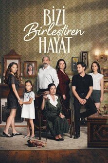 Bizi Birleştiren Hayat afişi