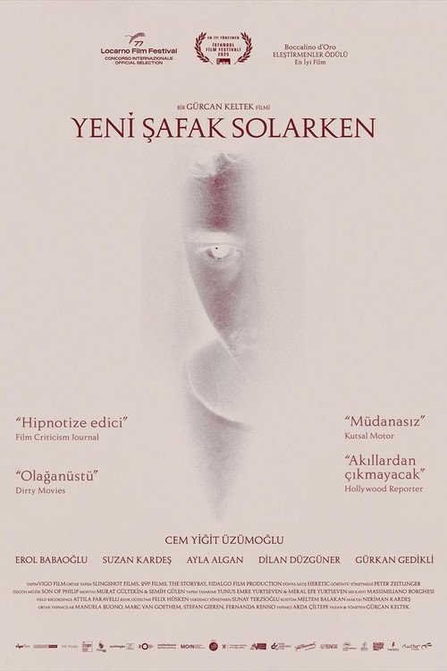Yeni Şafak Solarken afişi