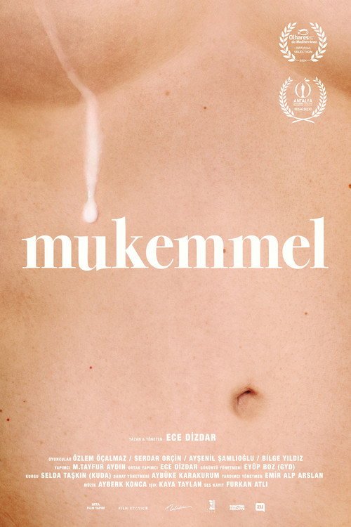 Mükemmel afişi