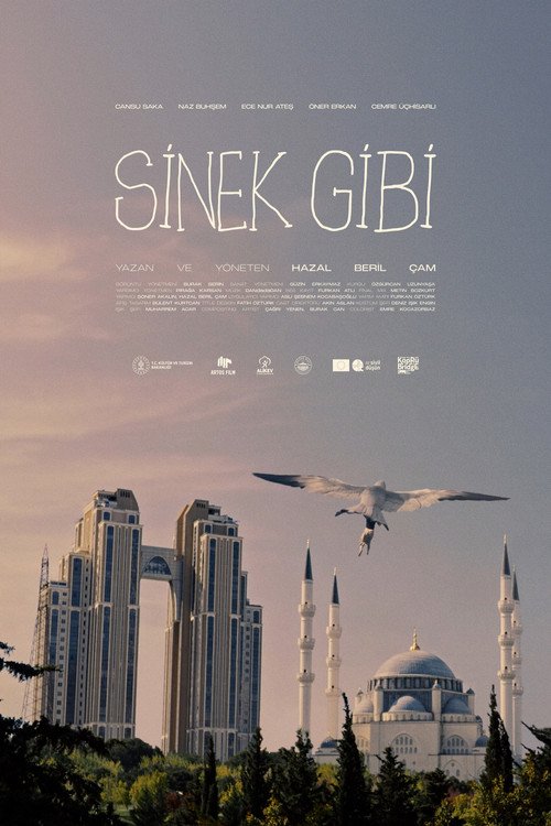 Sinek Gibi afişi