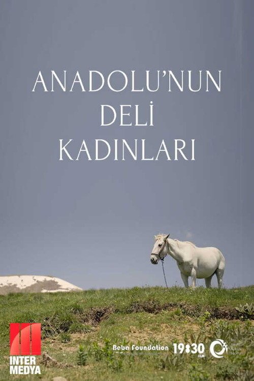 Anadolu'nun Deli Kadınları afişi