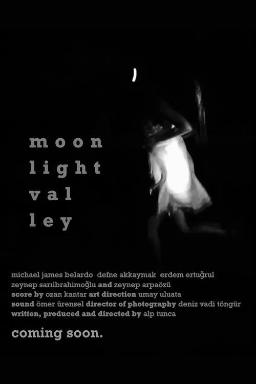Moonlight Valley afişi