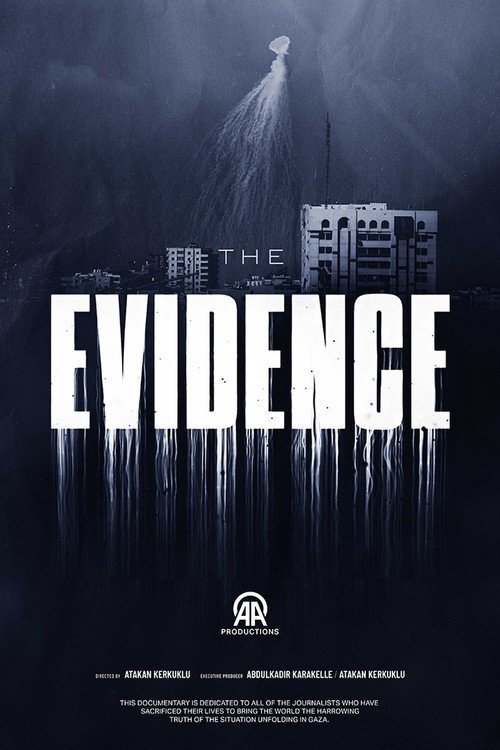 The Evidence afişi