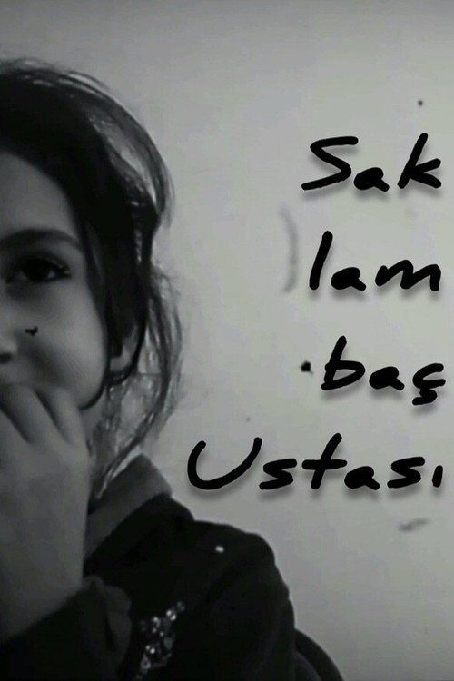 Saklambaç Ustası afişi