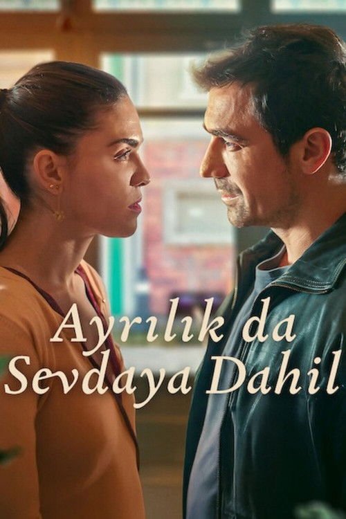 Ayrılık Da Sevdaya Dahil afişi