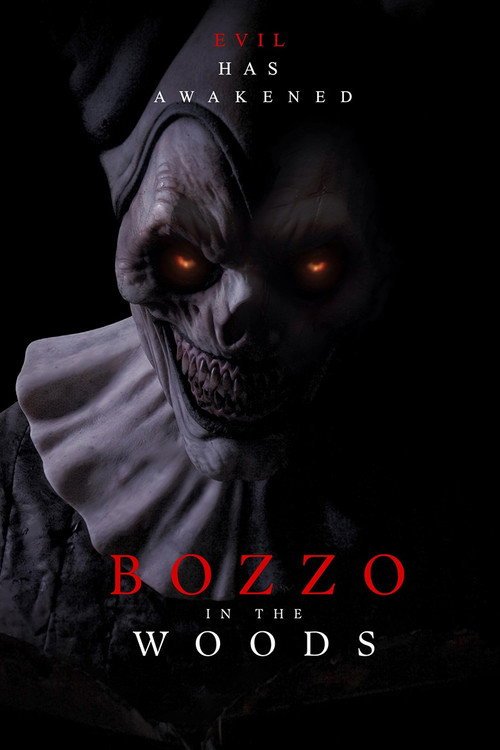 Bozzo in the woods afişi