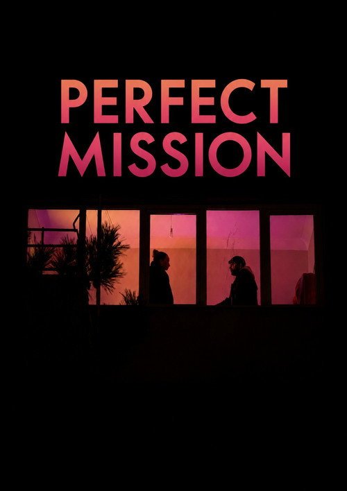 Perfect Mission afişi